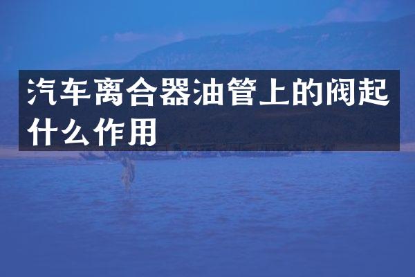 汽车离合器油管上的阀起什么作用