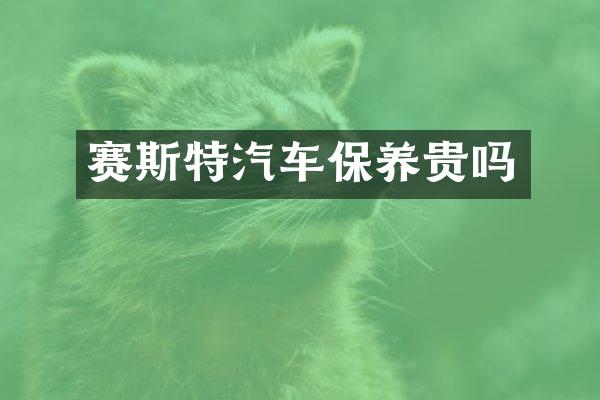 赛斯特汽车保养贵吗