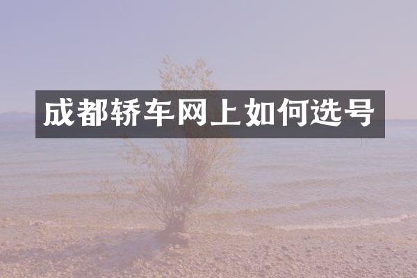 成都轿车网上如何选号