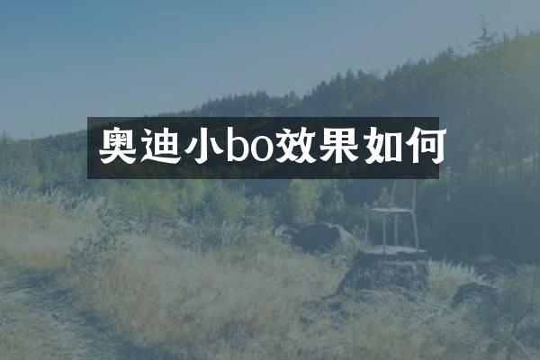 奥迪小bo效果如何