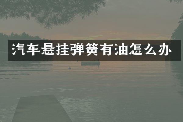 汽车悬挂弹簧有油怎么办
