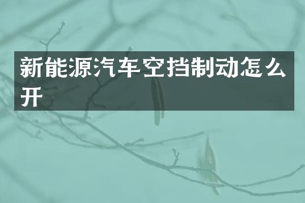 新能源汽车空挡制动怎么开