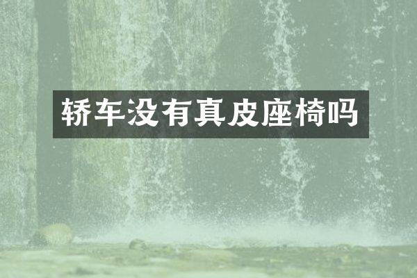 轿车没有真皮座椅吗