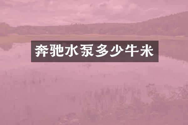 奔驰水泵多少牛米