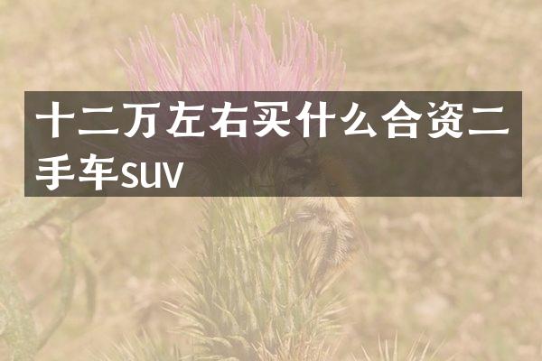 十二万左右买什么合资二手车suv