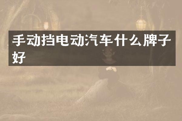 手动挡电动汽车什么牌子好