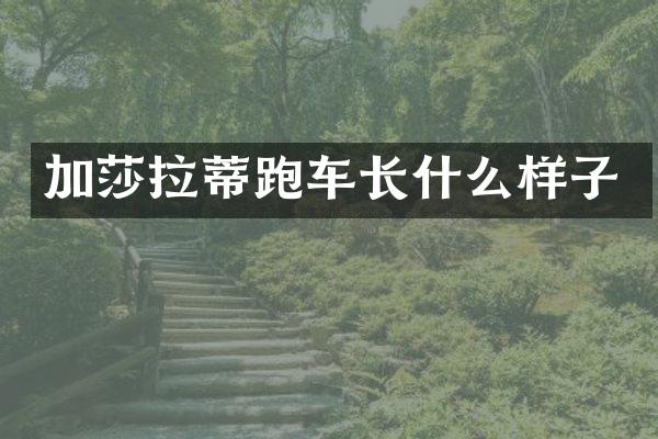 加莎拉蒂跑车长什么样子