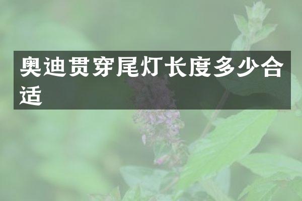 奥迪贯穿尾灯长度多少合适