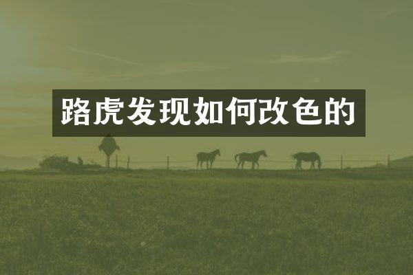 路虎发现如何改色的