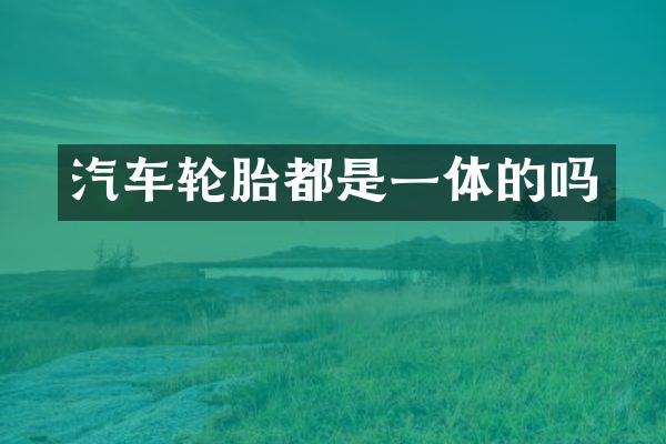 汽车轮胎都是一体的吗