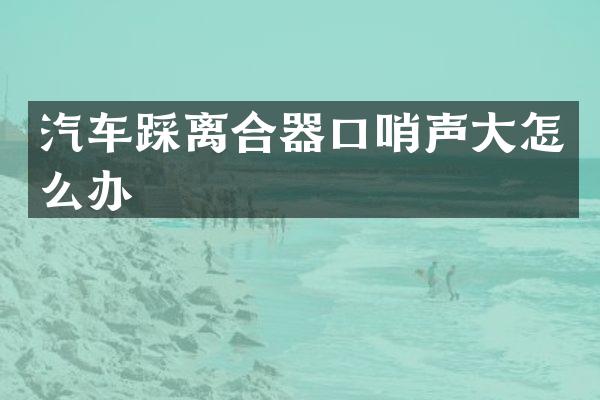 汽车踩离合器口哨声大怎么办