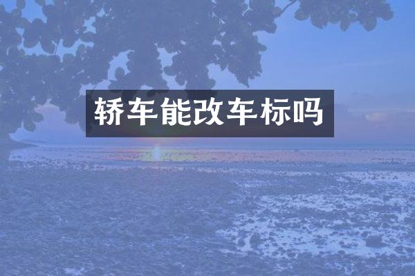 轿车能改车标吗
