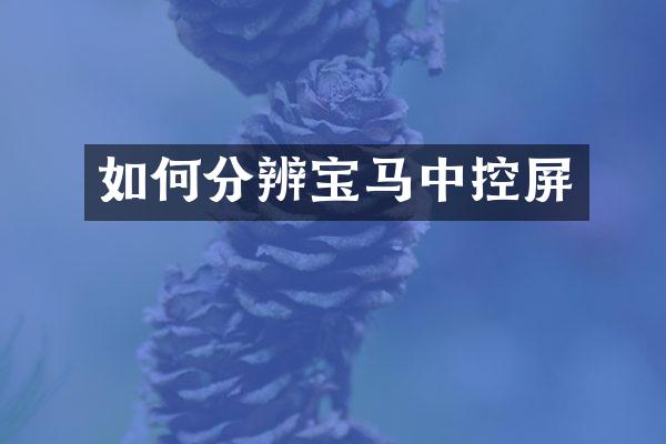 如何分辨宝马中控屏
