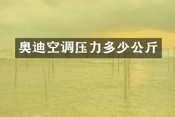 奥迪空调压力多少公斤