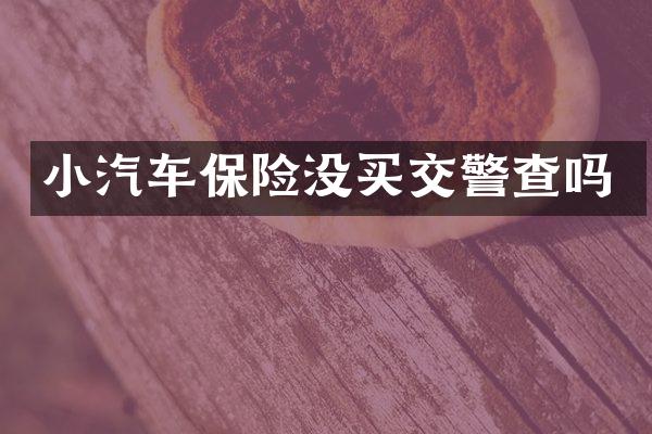 小汽车保险没买交警查吗