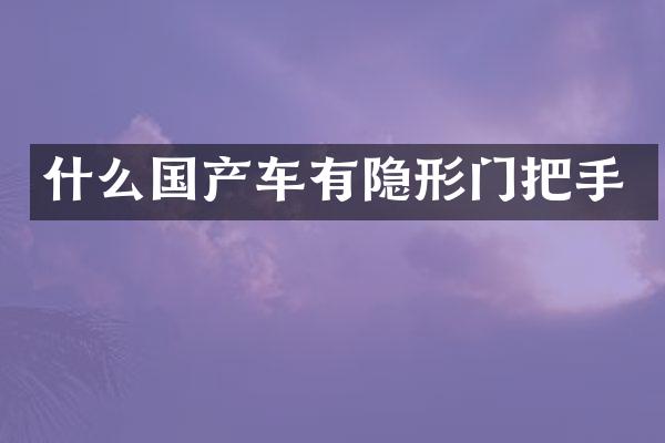 什么国产车有隐形门把手