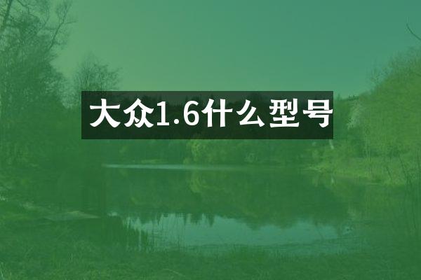 大众1.6什么型号
