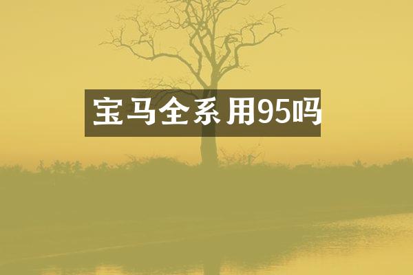 宝马全系用95吗