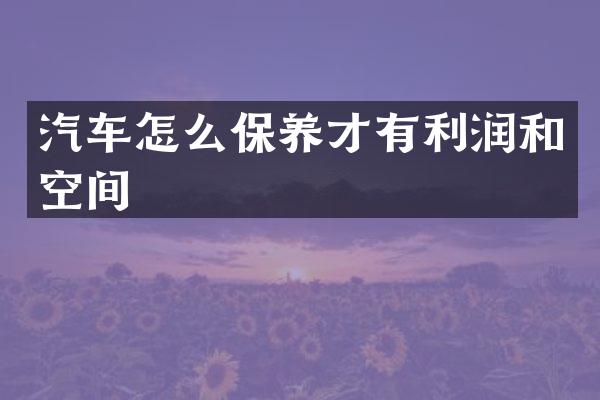 汽车怎么保养才有利润和空间