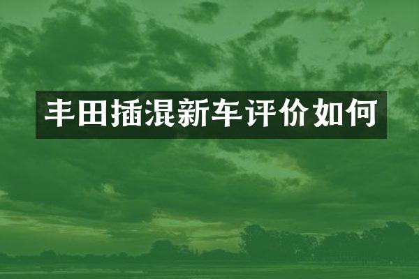 丰田插混新车评价如何