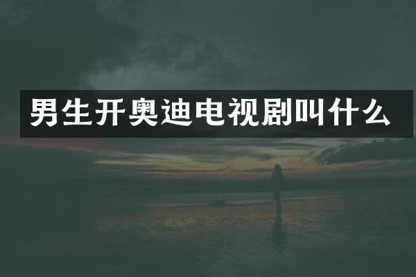 男生开奥迪电视剧叫什么