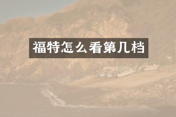 福特怎么看第几档