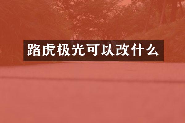 路虎极光可以改什么