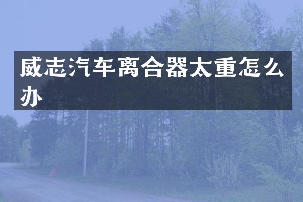 威志汽车离合器太重怎么办