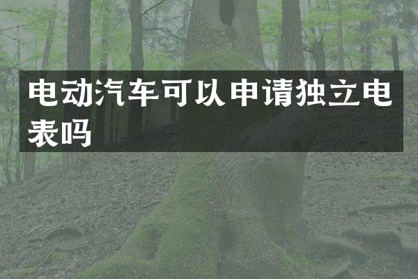 电动汽车可以申请独立电表吗