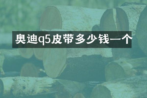奥迪q5皮带多少钱一个