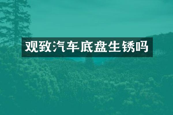 观致汽车底盘生锈吗