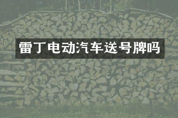 雷丁电动汽车送号牌吗