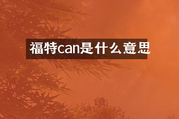 福特can是什么意思