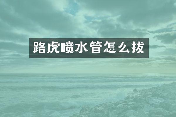 路虎喷水管怎么拔