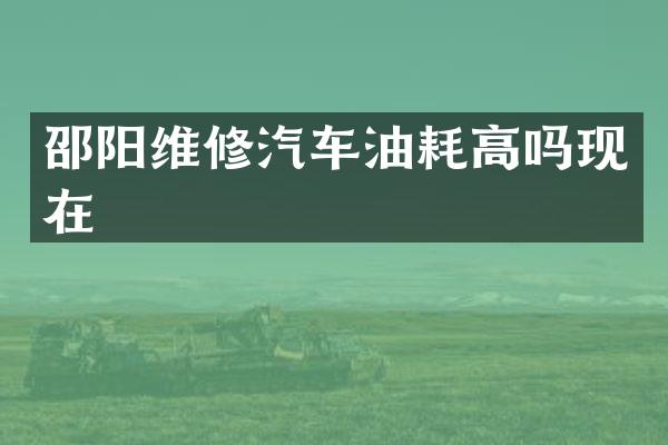 邵阳维修汽车油耗高吗现在