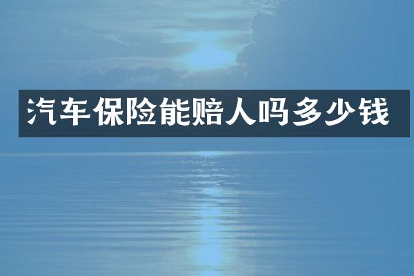 汽车保险能赔人吗多少钱