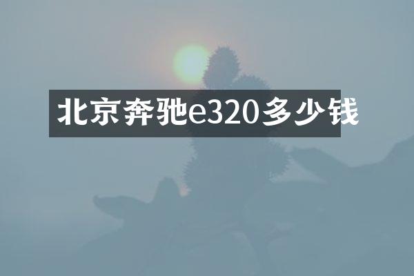 北京奔驰e320多少钱