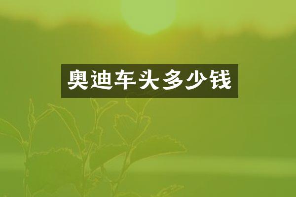 奥迪车头多少钱
