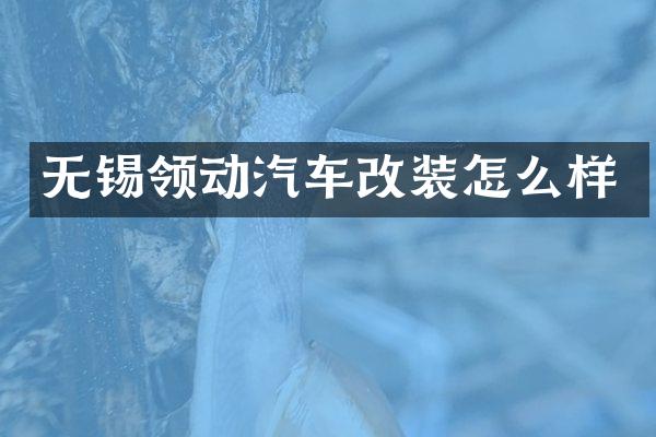 无锡领动汽车改装怎么样