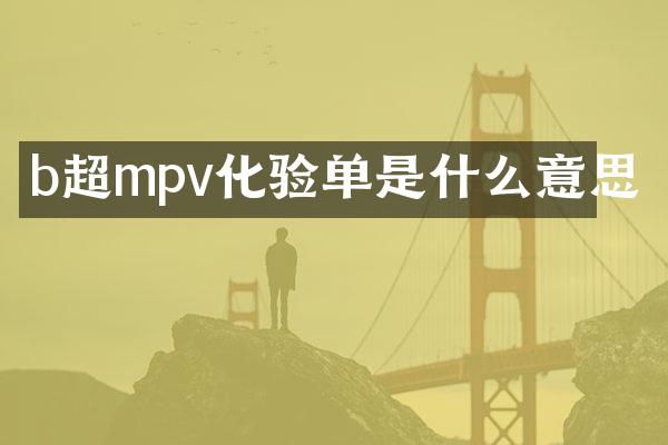 b超mpv化验单是什么意思