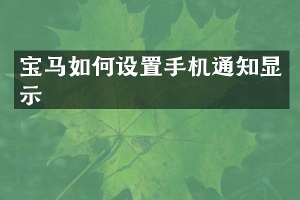 宝马如何设置手机通知显示