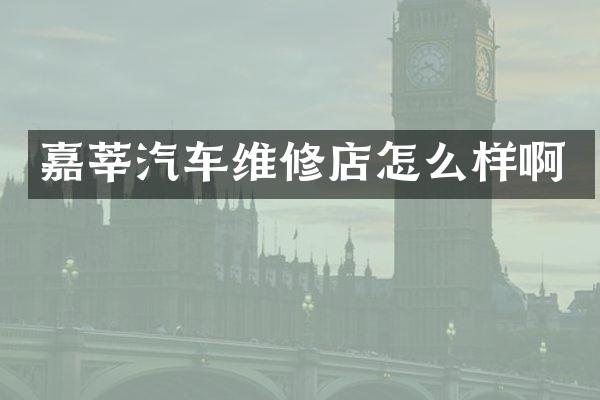 嘉莘汽车维修店怎么样啊