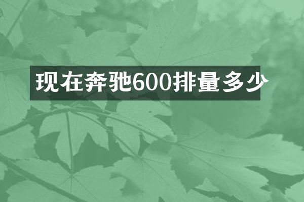 现在奔驰600排量多少