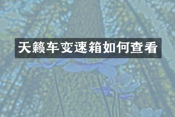 天籁车变速箱如何查看
