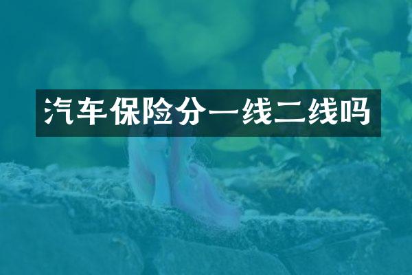 汽车保险分一线二线吗