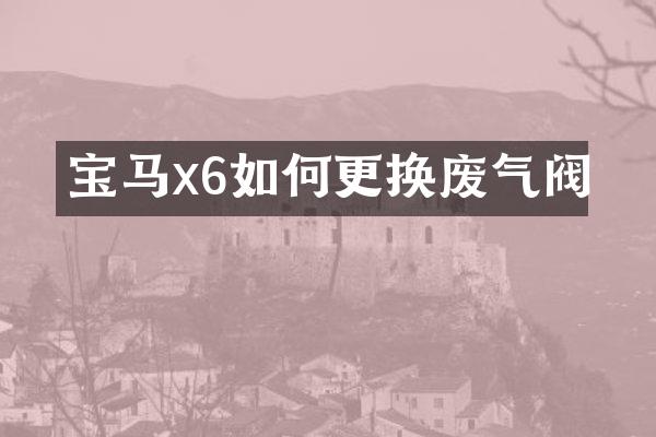 宝马x6如何更换废气阀