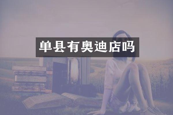 单县有奥迪店吗