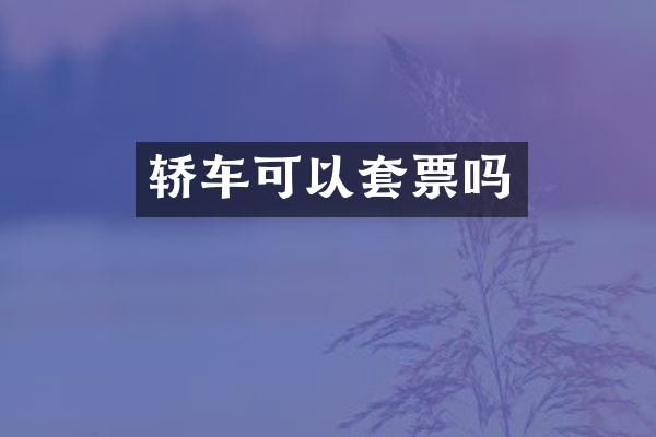 轿车可以套票吗