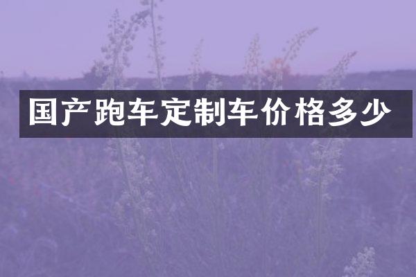 国产跑车定制车价格多少