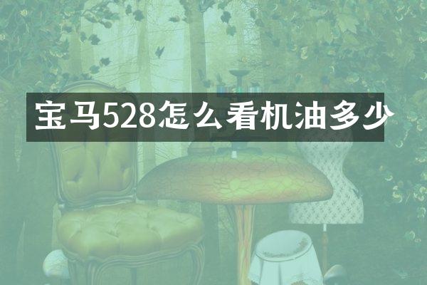 宝马528怎么看机油多少
